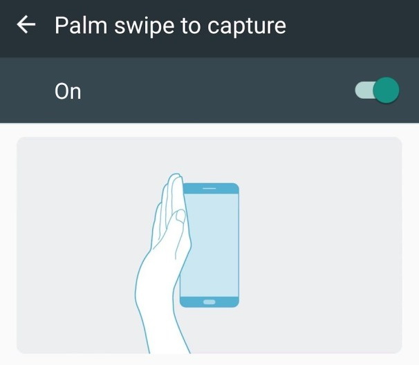 Palm Swipe Screenshot