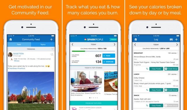 SparkPeople Calorie Tracker