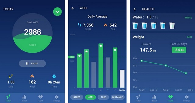 Leap Fitness Step Counter