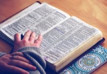 Best Dictionary Apps for Android
