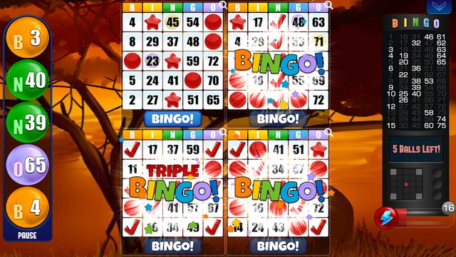 Bingo by Absolute Games