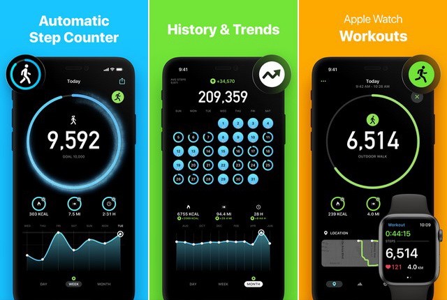 StepsApp Pedometer