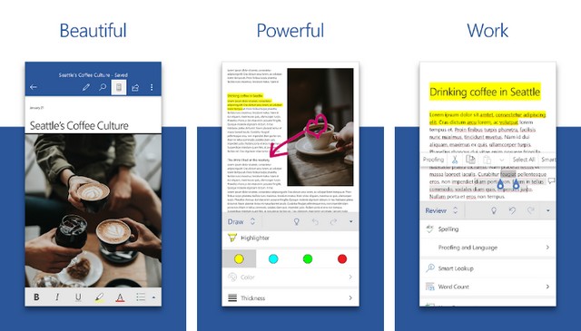 Microsoft Word