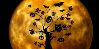 Best Halloween Apps for Android