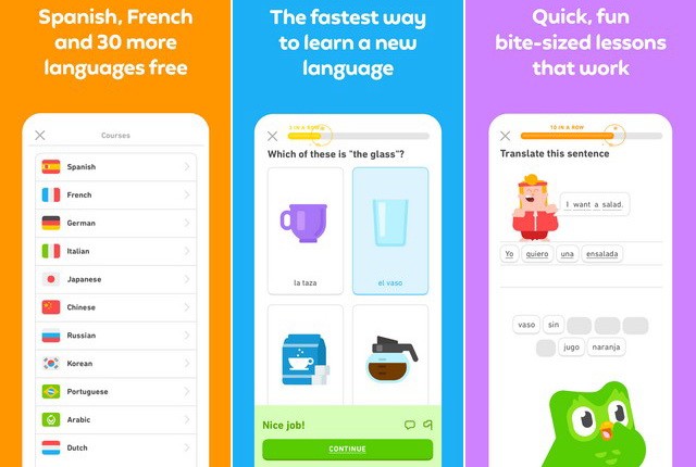 Duolingo - English Grammar App