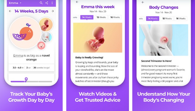 Pregnancy & Baby Tracker