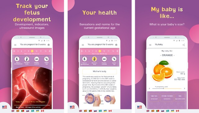 Pregnancy Tracker by Mobile Dimension