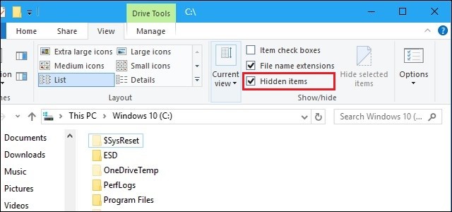 Show Hidden Files and Folders in Windows 10