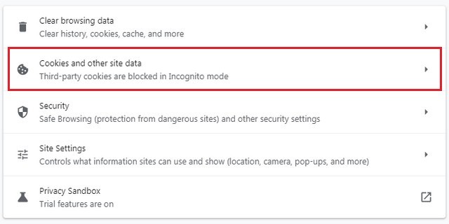 Cookies and other Site Data section