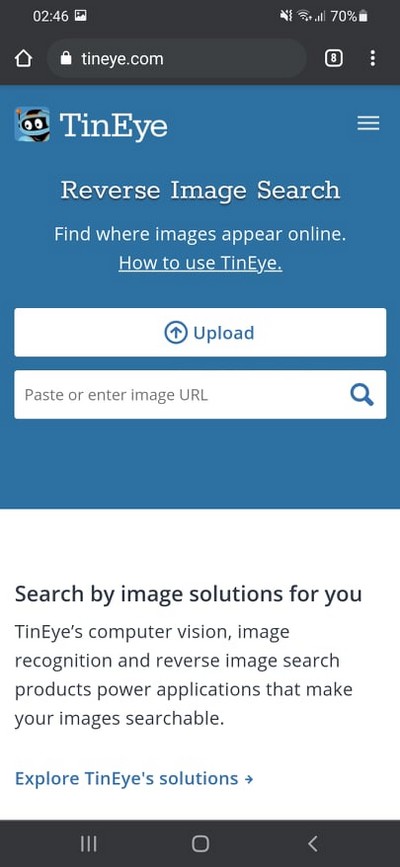 How to do a Reverse Image Search Using TinEye