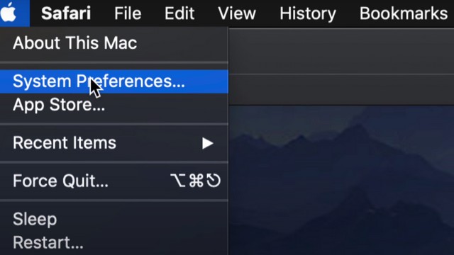 System Preferences on your Mac
