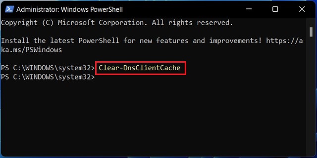 Flush the DNS cache using PowerShell