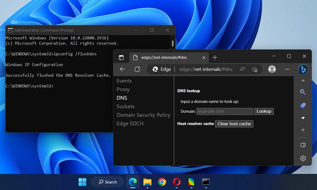 How to Flush DNS Cache on Windows 11