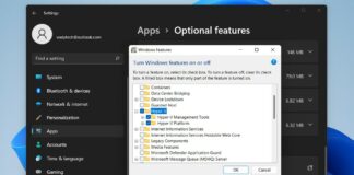 How to enable Virtualization on Windows 11